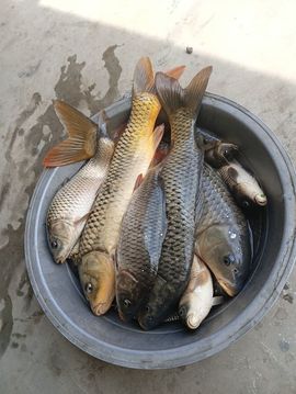 喜乐无忧😁主播照片