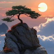 笑谈人生云淡