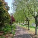 一路顺风pim
