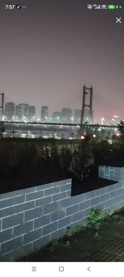 婷七架飞机过任务的图片