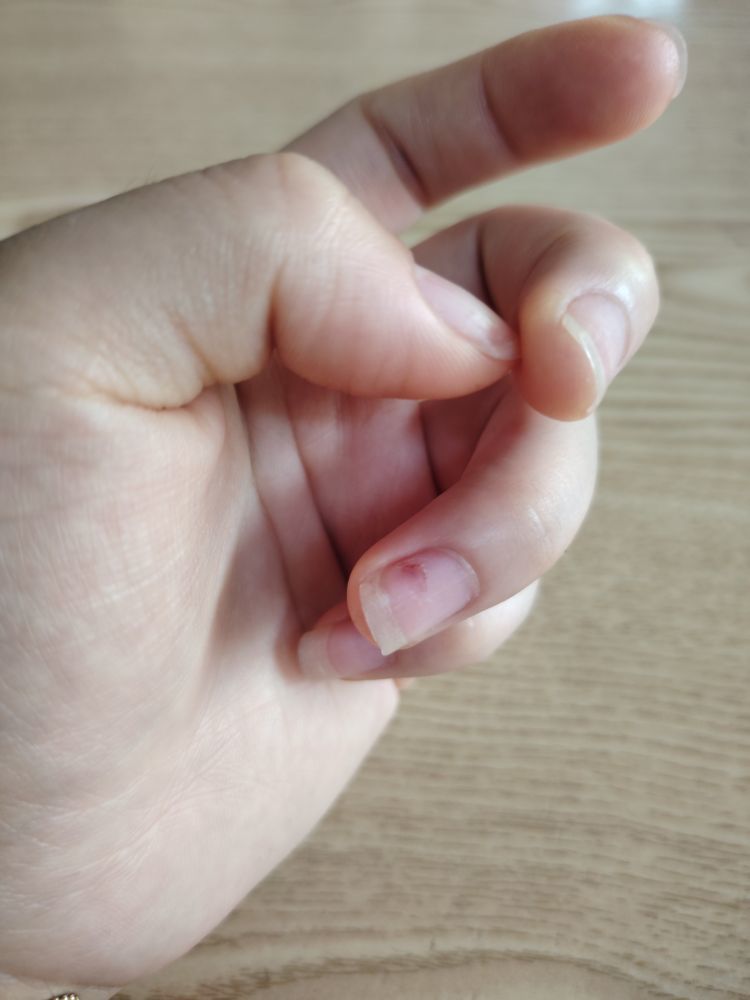 圆子❁嘴笨勿怪主播图片