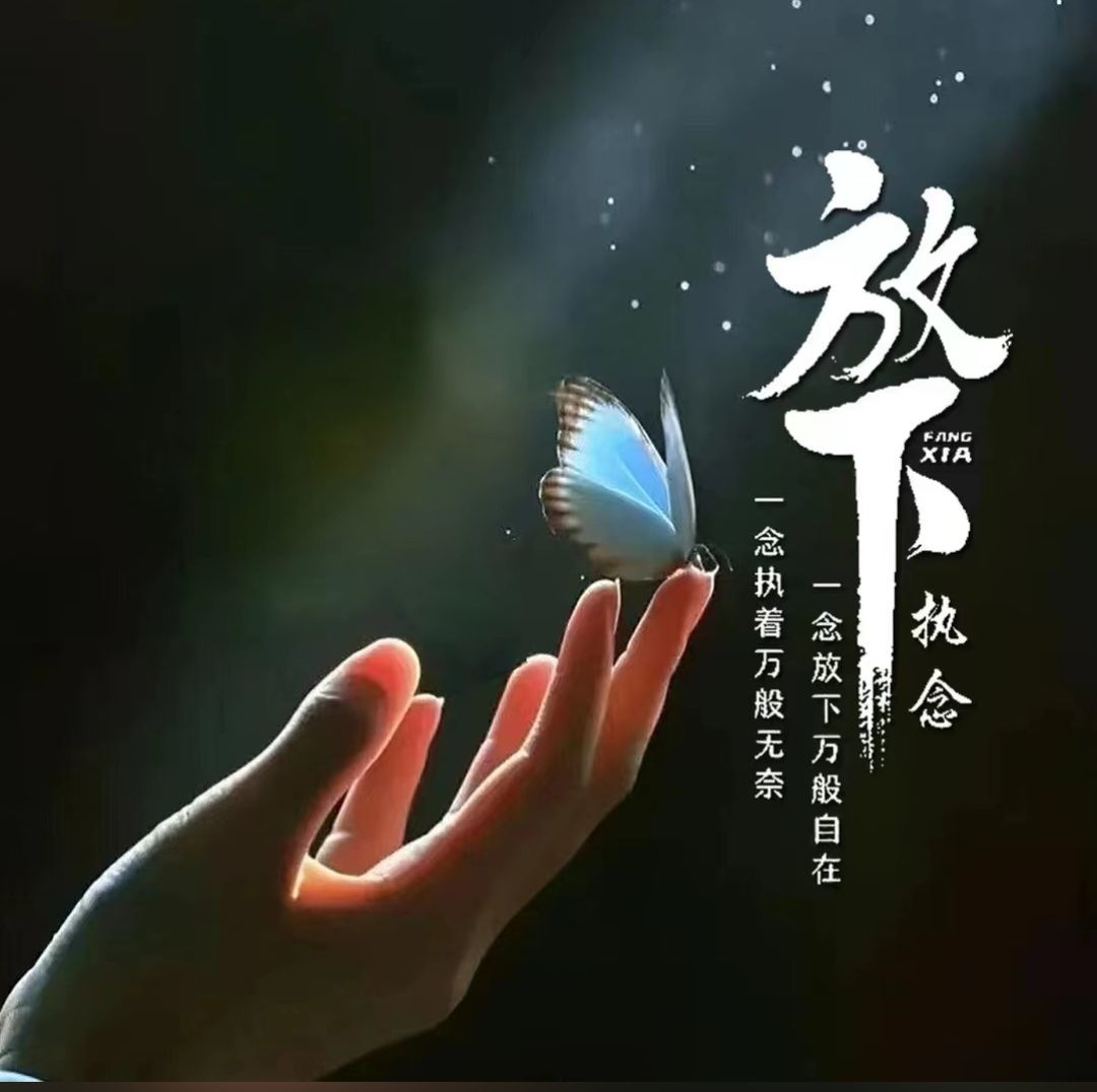往事随风而逝...的主播照片