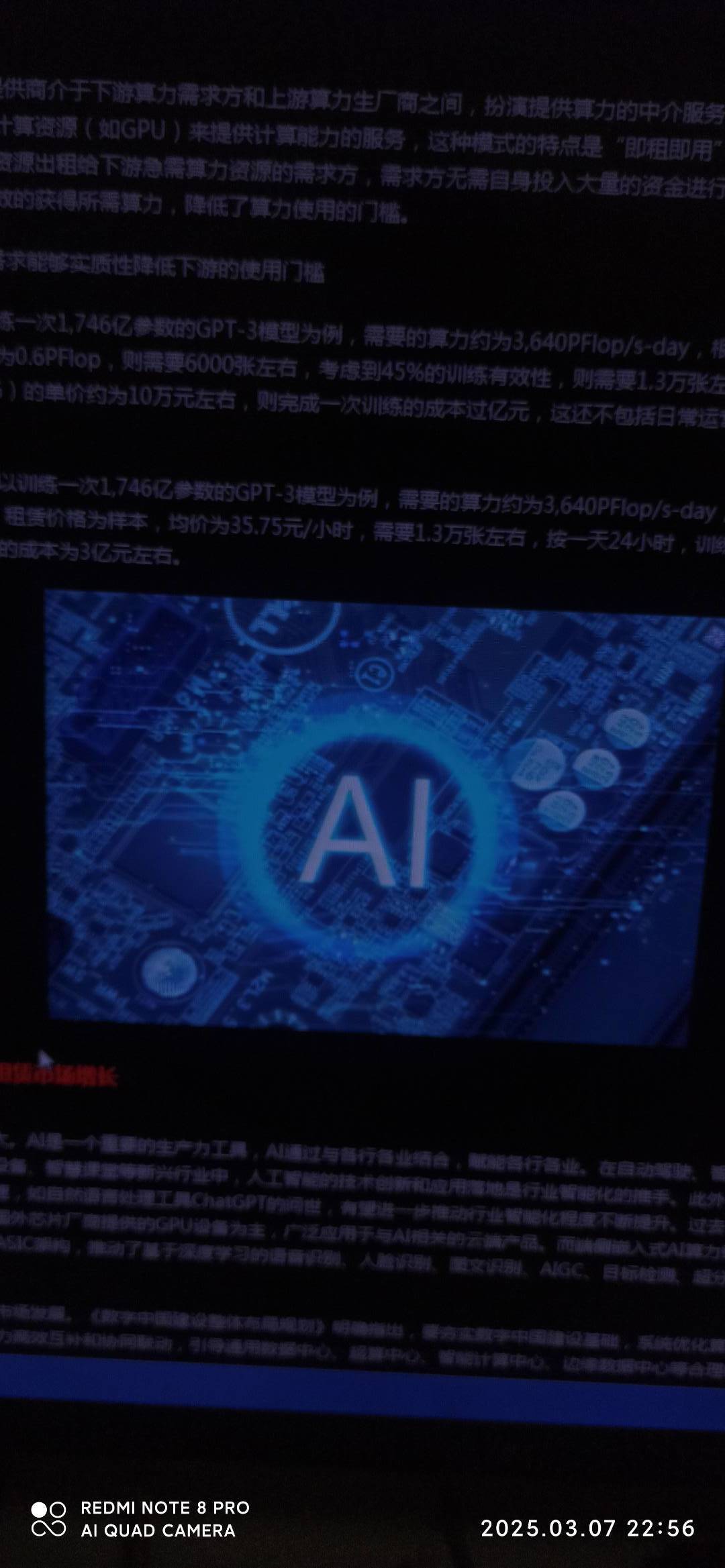 栈桥小哥的图片