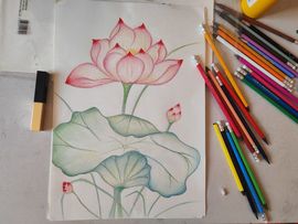 洋格里羊Z的图片