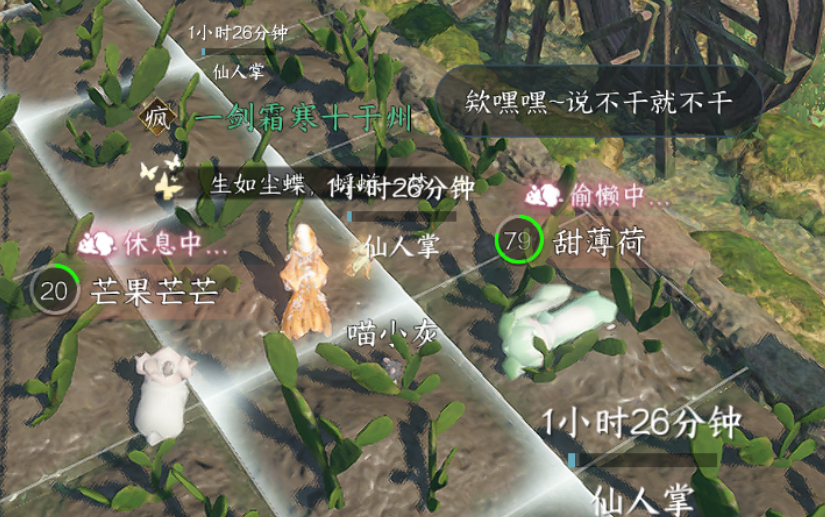 枳枳/主播图片