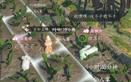 枳枳/的图片
