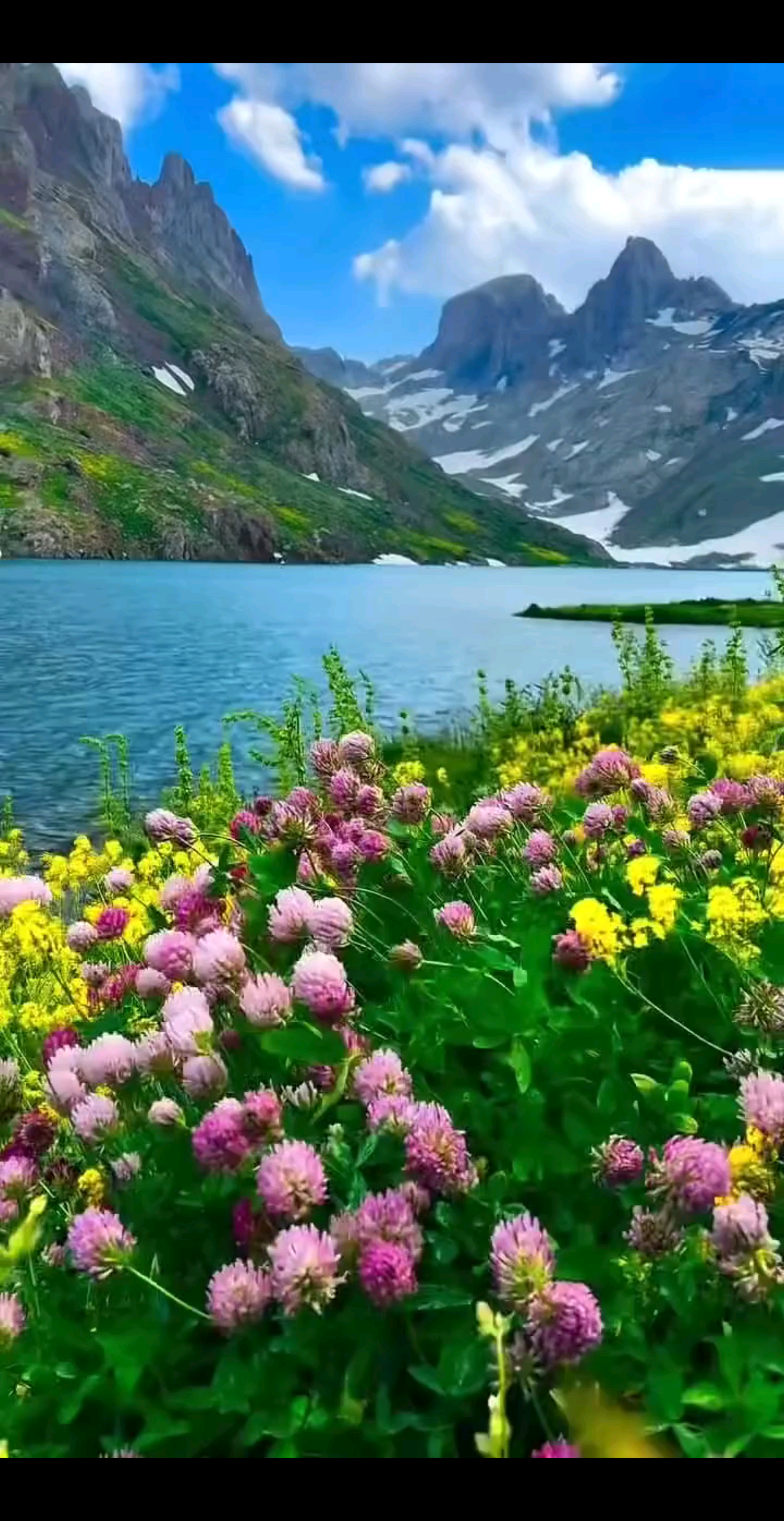 ᴳᴼᴼᴰᴹᴼᴿᴺᴵᴺ