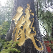 流年岁月☆
