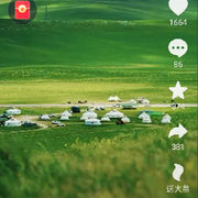 布朗特斯拉扣