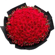 梦中情人🌹🌹🌹
