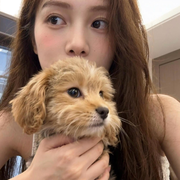 美吖鸭好运鸭🍀