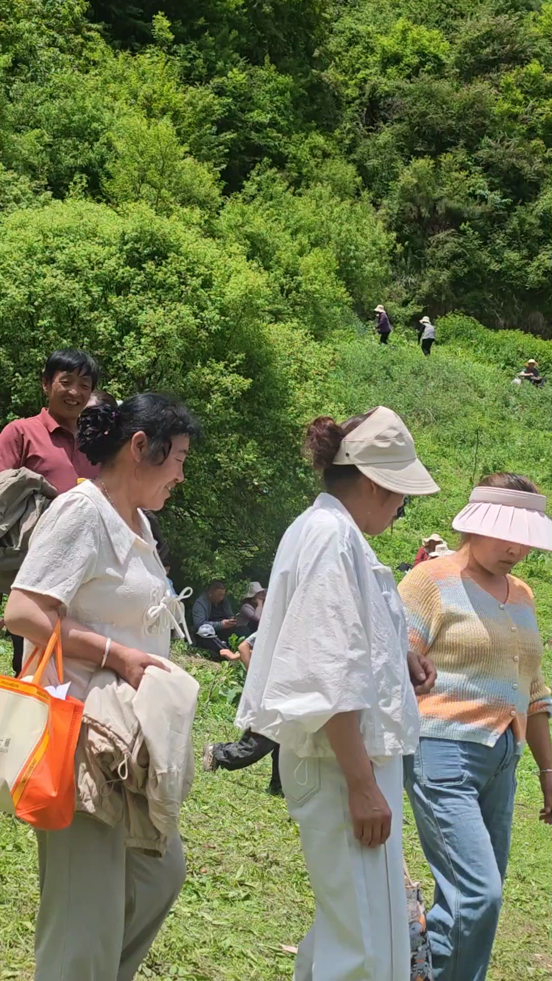 甘肃健康养生.手机（