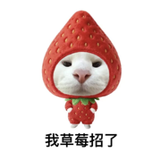 我草莓招了