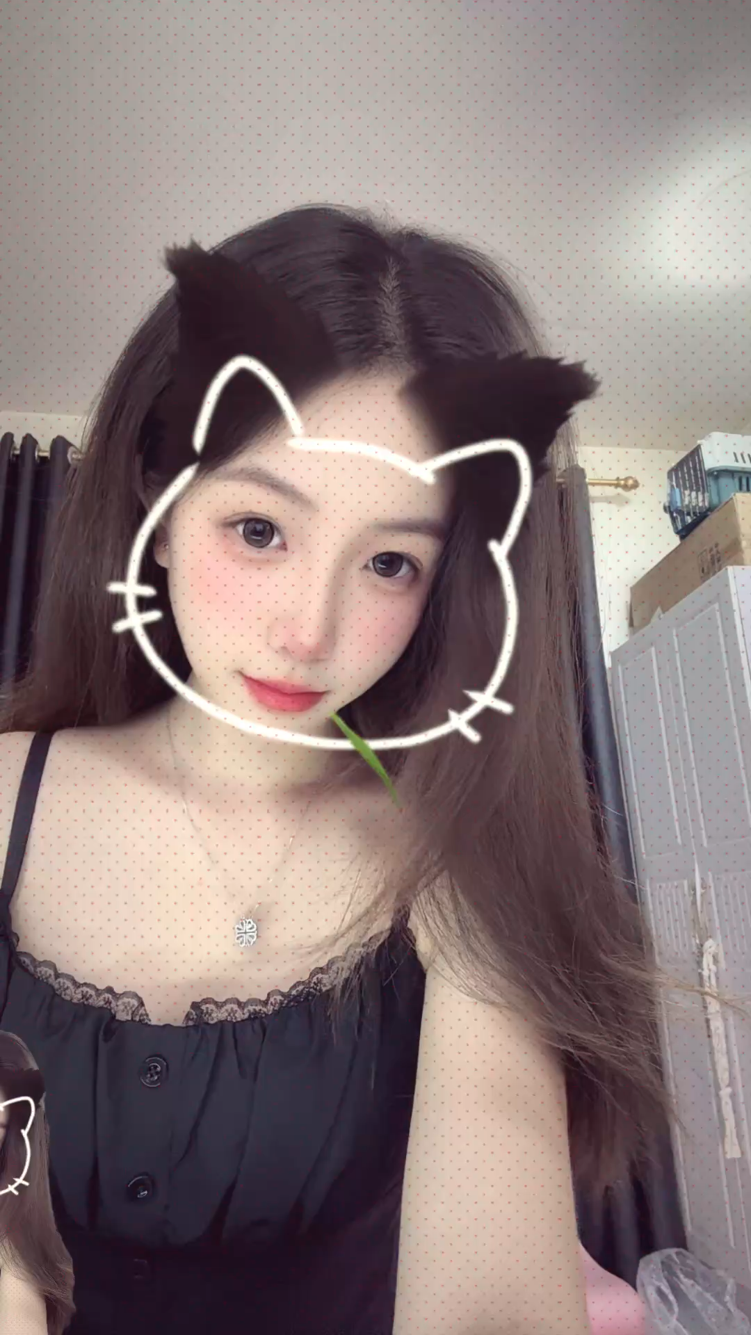 噜啦啦啦噜啦啦