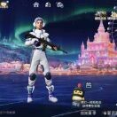 兴bXR