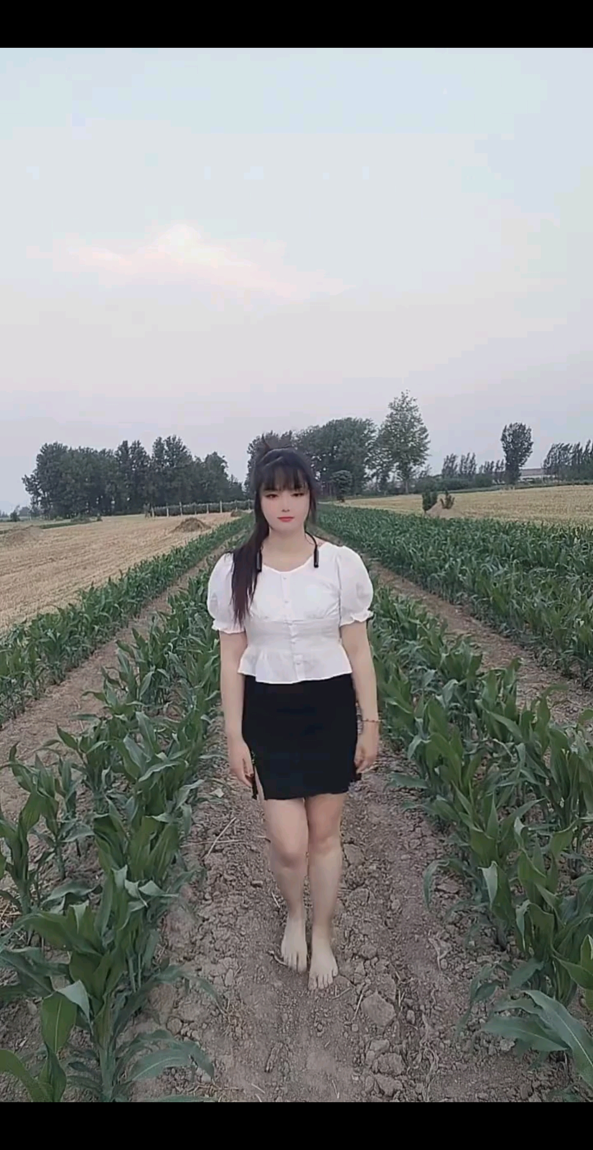 喜欢点赞，不喜欢免费
