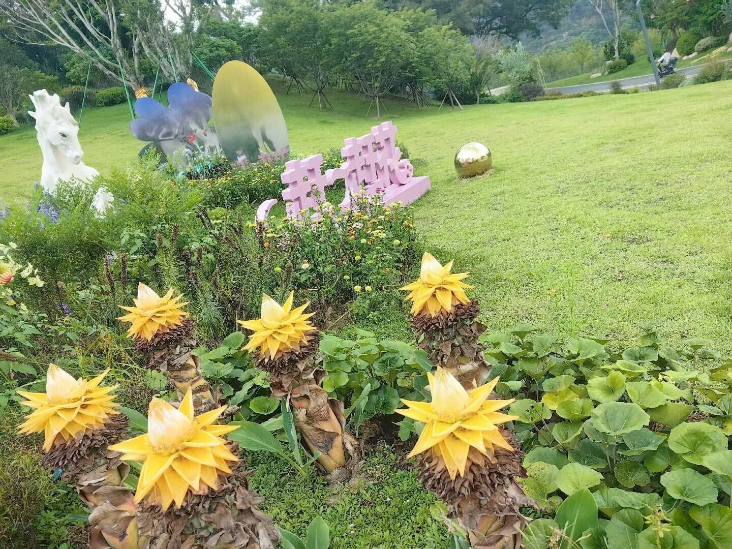 天王盖地虎虎044的主播照片