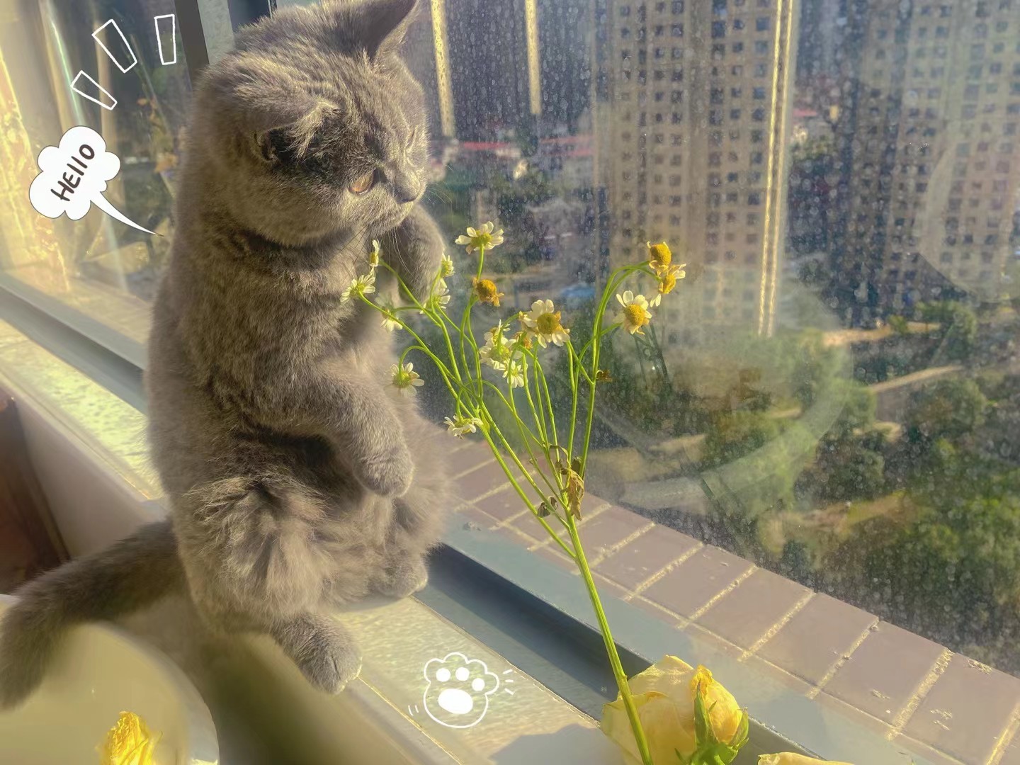 方仪💗人间限量版的主播照片