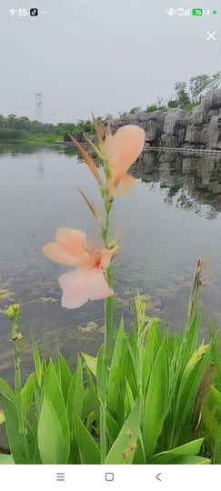 婷婷💕感恩有你陪伴的图片