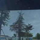 山恋x