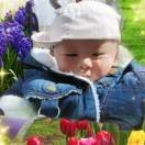 朱佩蕾