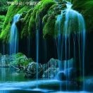 无怨无悔uZt的头像