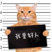 小彤*新人求关注