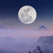秇淰☾