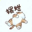 Mr.大树先森🇨🇳