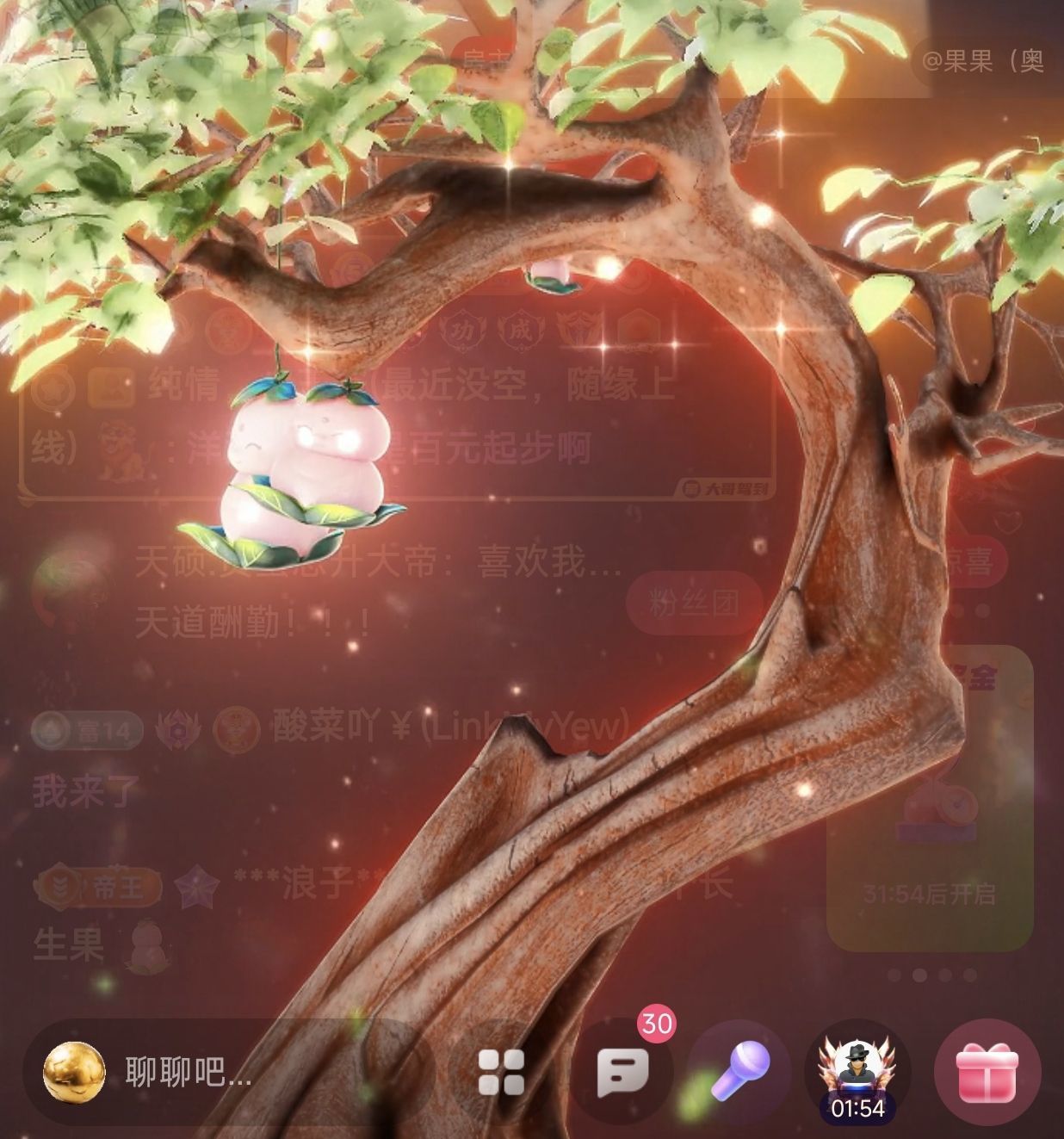 酸菜吖主播图片