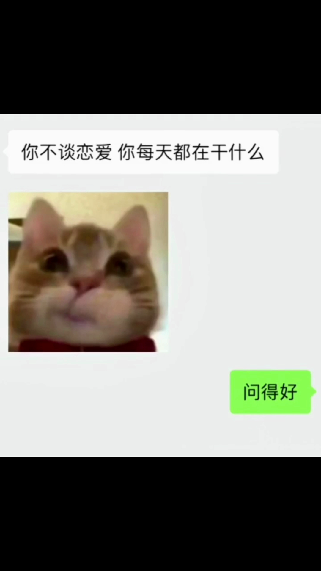 当然是研究做饭咯/狗