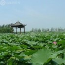 李康XSu