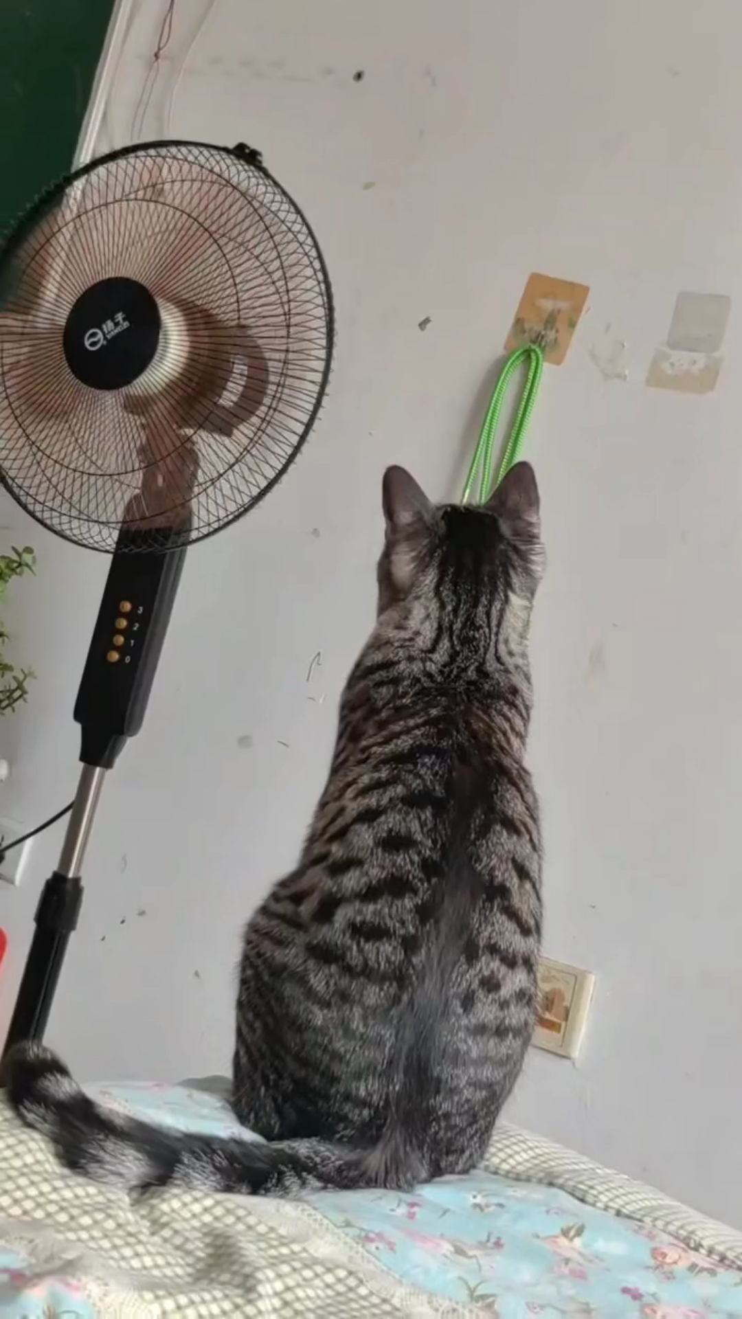 到降温的季节了！看视