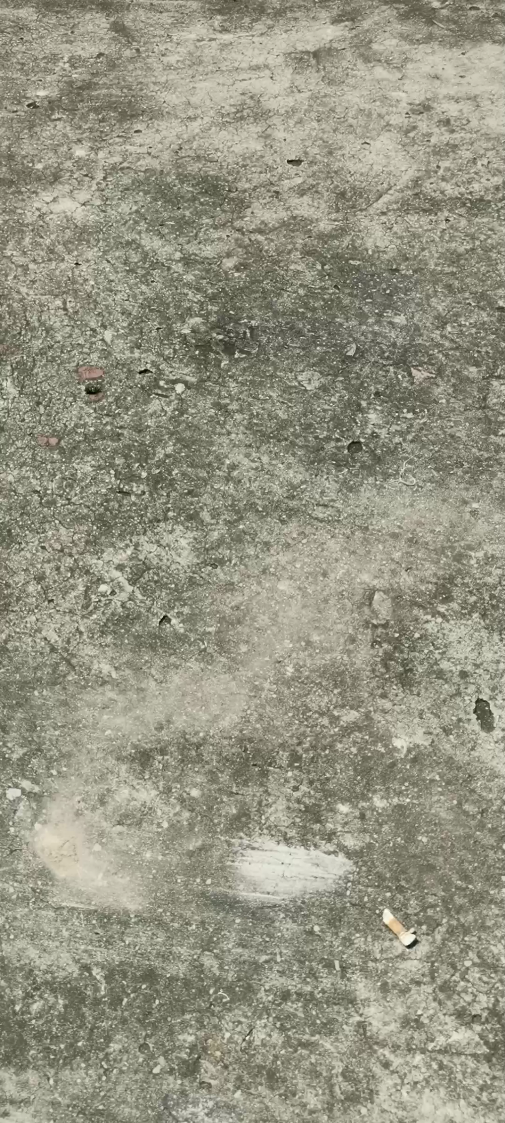 在门口偶遇一只打转好