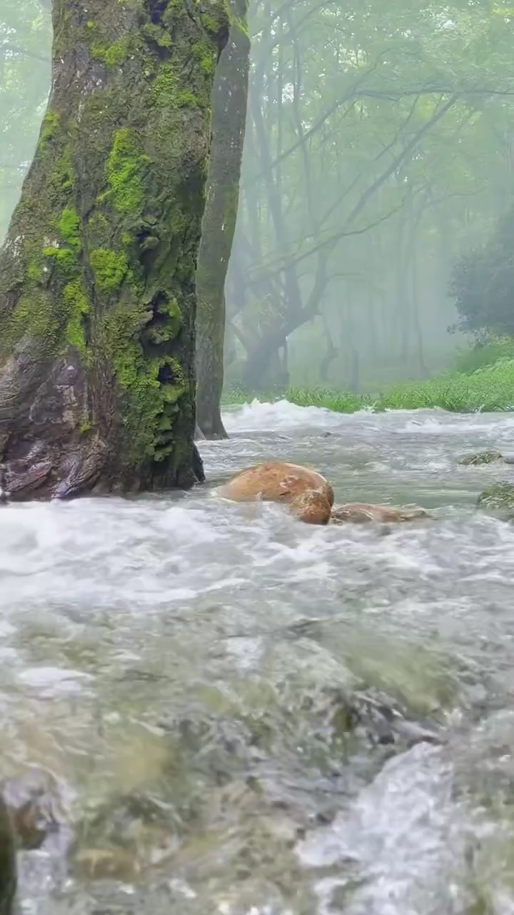 🐒🐒人生的长度，不过