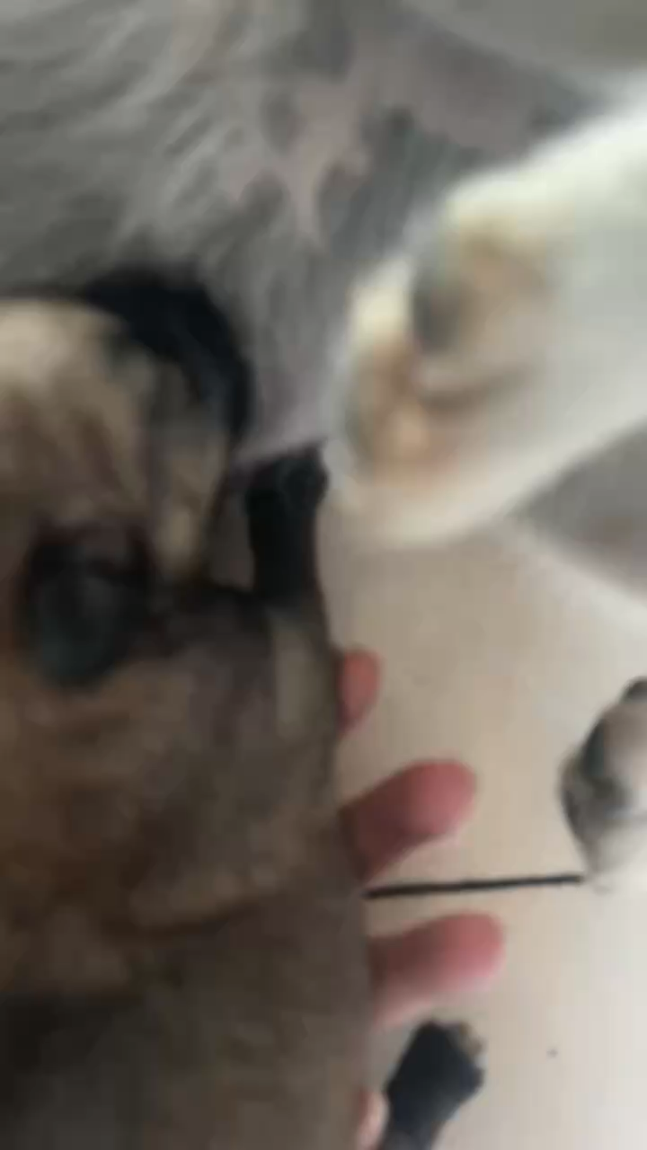 太可爱了😄吃的好香哦