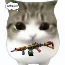 .VLO
