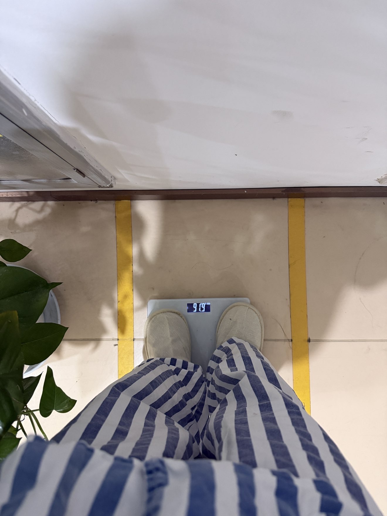 唱歌鱼～～的主播照片