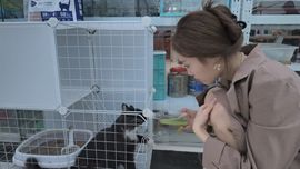 朵朵。。的图片
