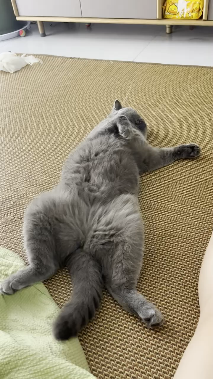 观看63次