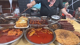 白Y鸭的图片