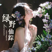 绿野仙踪🍉