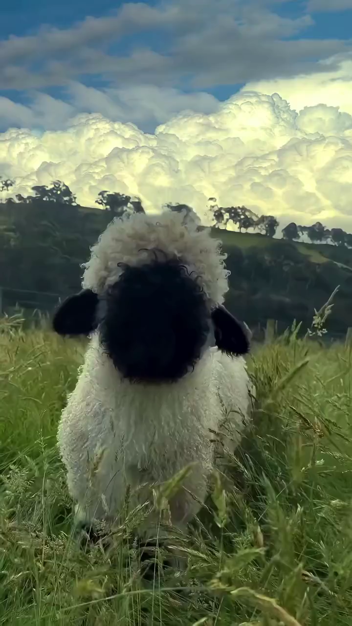 🍀🍀​人生没有白走得