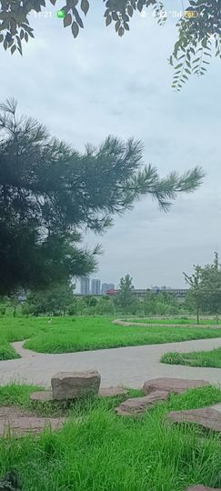 婷婷💕感恩有你陪伴的图片