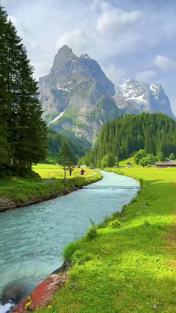 🍀🍀人生是一本书 封