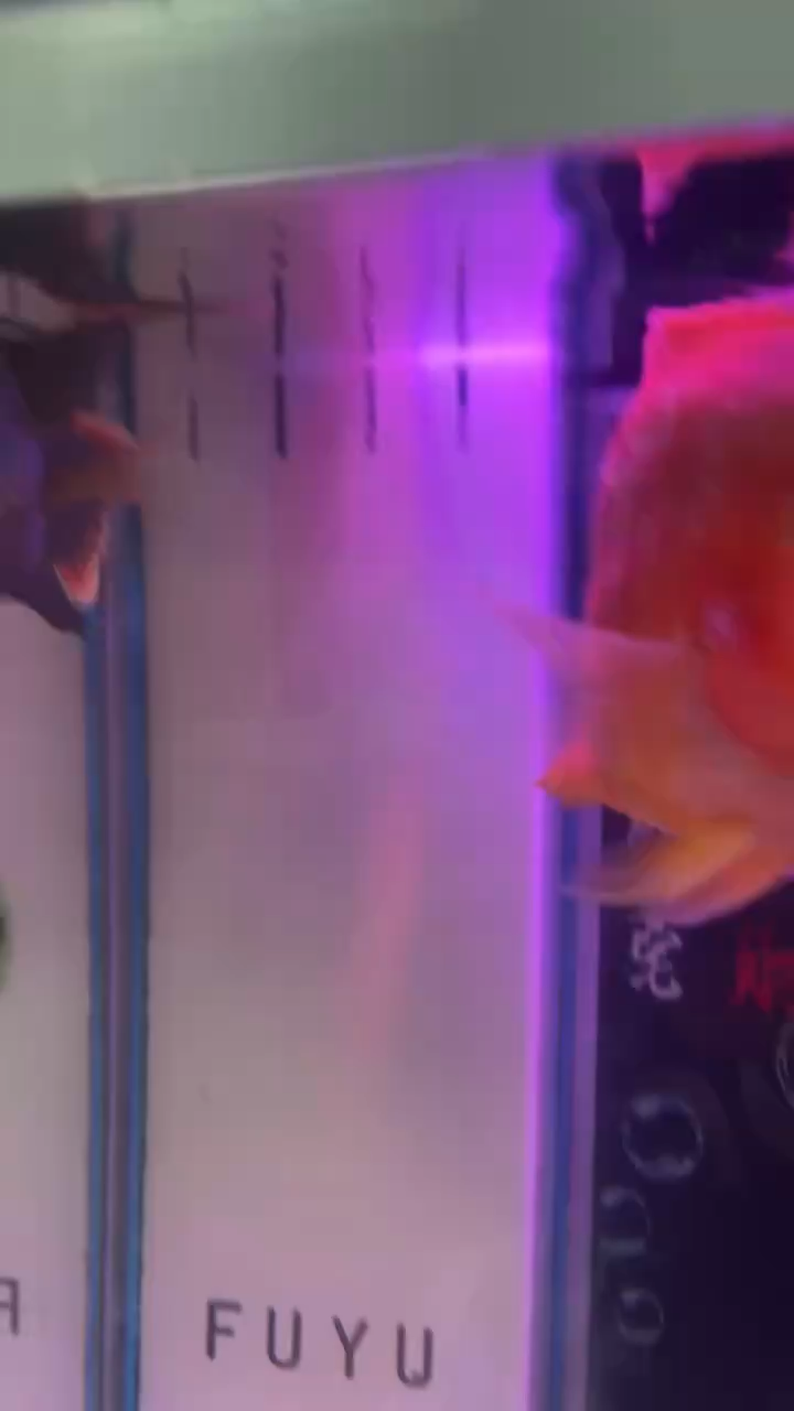 观看0次