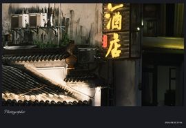 我是自由啊主播照片