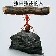 .🦗壹抓壹蹦哒.