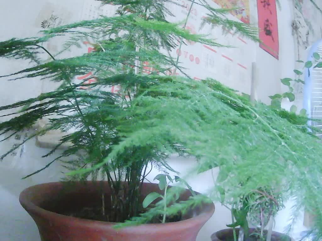 闲的难受唱歌哈哈