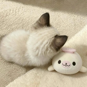ッ蕊寶ッ